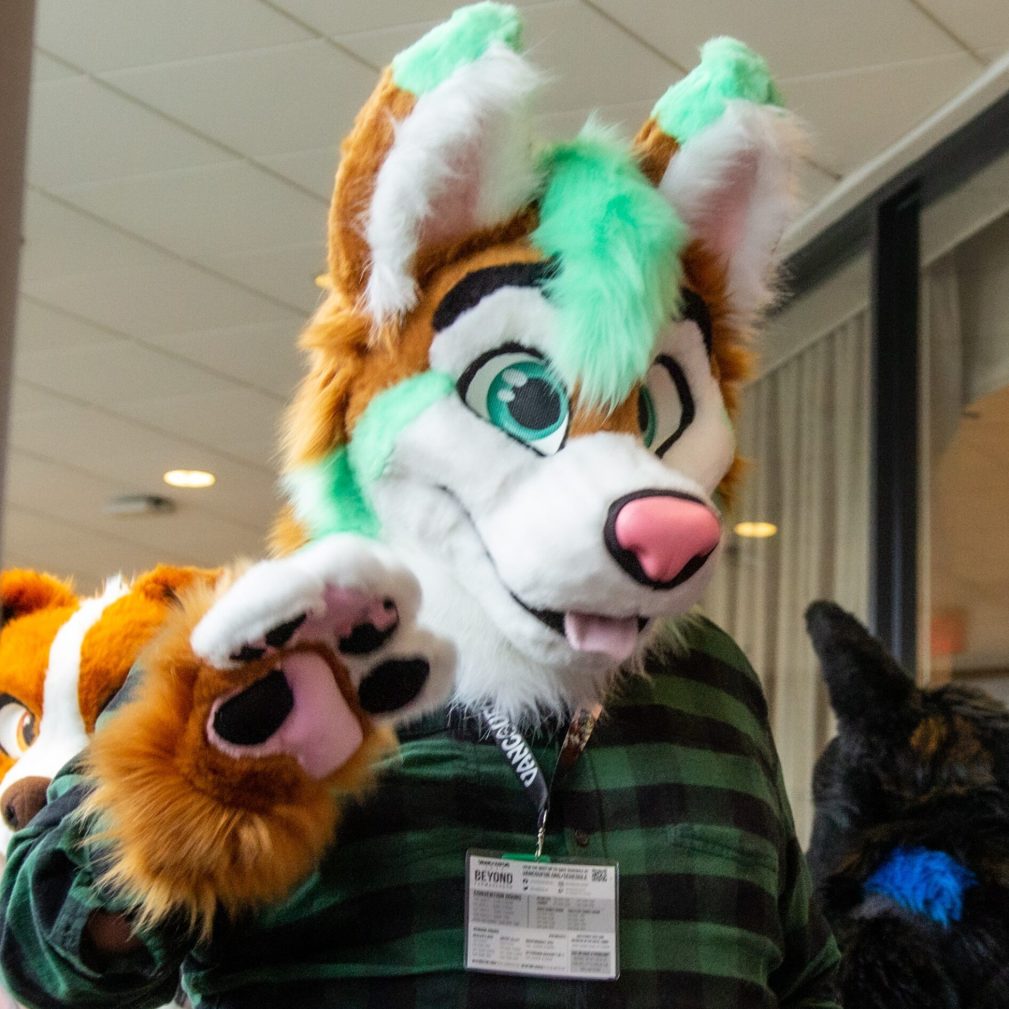 247217-dc47788ed76129fa4ed7773e81f7c7ff