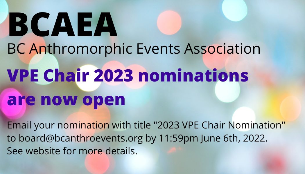 Nominations for Vanhoover Pony Expo Chair 2023 are open.